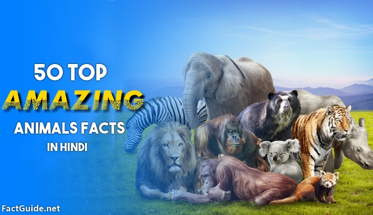 जानवरों के बारे मे 50 रोचक तथ्य | Animals Facts In Hindi • Fact Guide