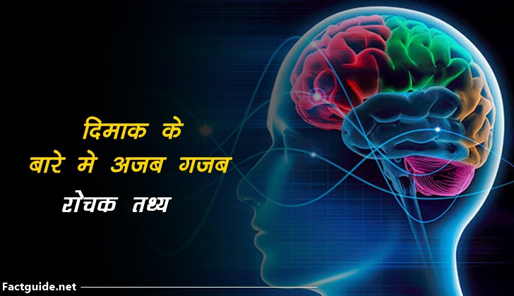 amazing brain facts in hindi