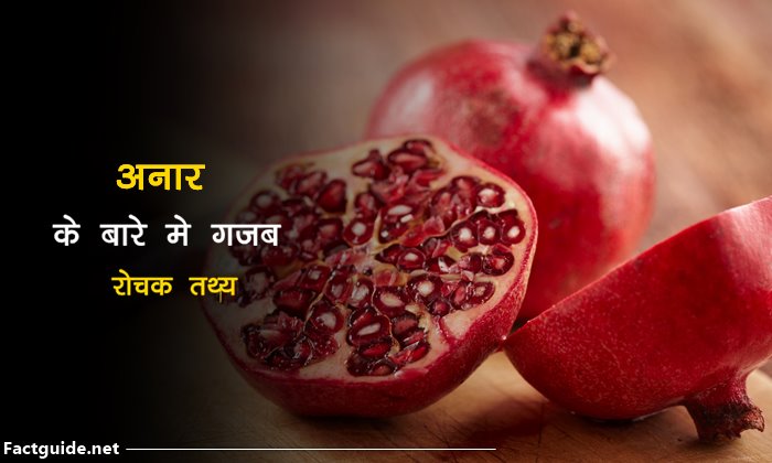 Pomegranate Facts in Hindi