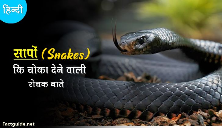 सांपों के बारे में 50 अद्भुद रोचक तथ्य | Snake Facts in hindi