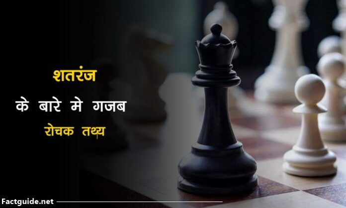 chess piece name in gujarati
