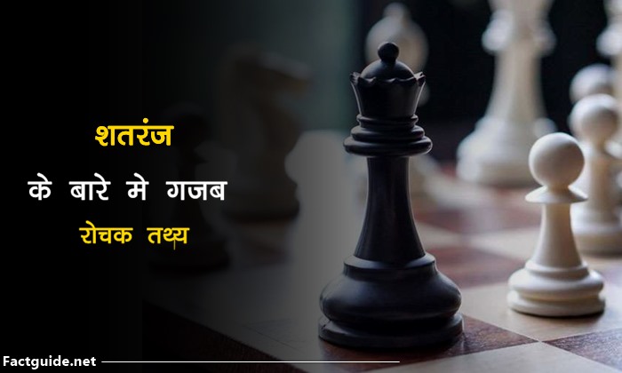 शतरंज के बारे में 20 रोचक तथ्य | Chess Facts In hindi